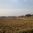 연산농로 네이버블로그