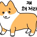 동해메밀촌 이미지