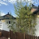 원고매로 | 용인 고매커피 주말방문후기