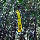 구룡산성 이미지