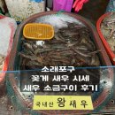 소래포구 전통어시장 꽃게 대하 새우 시세 ft. 새우소금구이