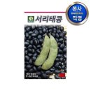 다농 이미지