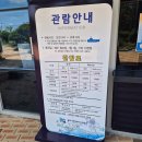 바다의 교향곡 | [목포 아기랑 갈만한곳] 목포 어린이바다과학관 30개월 아기랑 다녀온 솔직 후기(목포 아기랑 실내)