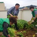 풍향동행정복지센터 이미지