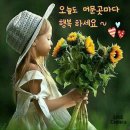 생각이 깊은 사람은 말을 많이 하지 않고 생각을 합니다 이미지