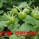 동탄7동행정복지센터 다목적실 이미지