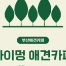 멍애견 네이버블로그