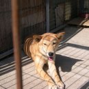 진도축산 이미지