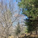 평화목장 이미지