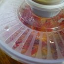 강릉제일오토 이미지