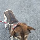 최종주동물병원 이미지