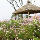 그대와나 - 사천시 | 그대와나