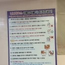 오늘도 고양이처럼 고씨네 하우스 | 하남 미사 고양이카페 : 냥냥하우스 | 29마리의 고양이가 살고 있는 고양이 카페