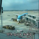 공신항공여행사주 | 대한항공 오사카 기내식 솔직후기｜B787-10 해산물 그라탱과 닭고기 구이