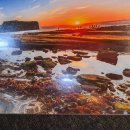 제주 더 아르테미스 이미지