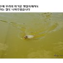 창리낚시터 이미지