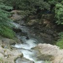 용연사길 이미지