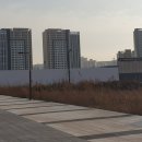 엘타워약국 이미지