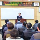 선세 이미지