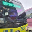 백마고속관광 이미지