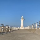 페리아 902 오션뷰 스파 펜션 | 내돈내산 강릉 애견동반 펜션 추천 '페리아 902' 객실에서 즐기는 완벽한 오션뷰와 일출