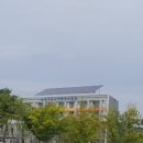 낙동강수련원 캠핑장 이미지