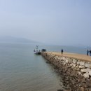 강사내통닭 - 김포시 서암로 59 | 강사내통닭