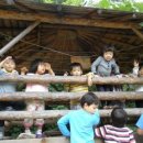 새싹발트유치원 이미지