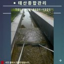 씨유 청주내수로점 | 청주 공원 수로 녹조 제거 고압 세척 후기