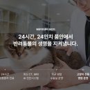 동물의료센터24인치 이미지
