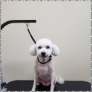 편한미용 이미지