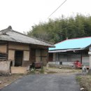 원황룡 경향신문