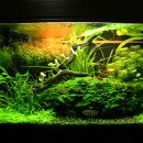 천일(550) 이미지