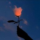 보라안경원 이미지