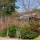 관일약비 이미지