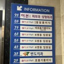 동물병원 The 개치동 | 부산 영유아검진 꼼꼼히 해주는 부산맘아동병원 5차 영유아검진 후기 (36개월)
