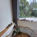 파인힐 | 💖 의정부 신상 대형 카페 핫플! 숲속 힐링 감성, '카페파인힐' 솔직 후기! ☕