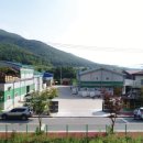 상하식품 네이버블로그