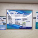 애월정의원 네이버블로그