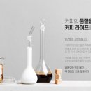 돌체빈스 이미지