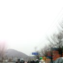 까페할리 이미지