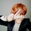 코코들 이미지