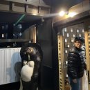 쿠시야미 네이버블로그