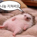 남양주자동차검사소 이미지