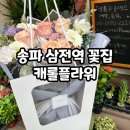 캐롤플라워 이미지