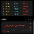 [비수구미 민박] 트레킹 코스, 등산, 산채비빔밥 😎🍚