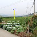 내가면-2 Daum카페