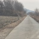 길에서(On The Road) 이미지