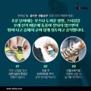 레푸스 범어점 이미지