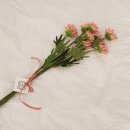 판포리 사무소 | [제주여행] 바다뷰 스테이예스 숙소 앞 스노쿨링 즐기기 (판포포구)